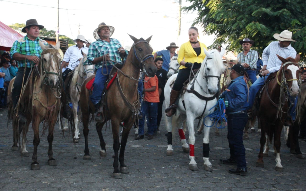 HIPICA1